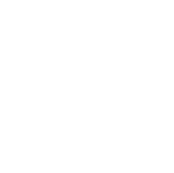 Nussbaumer and Clarke INC Alt Logo
